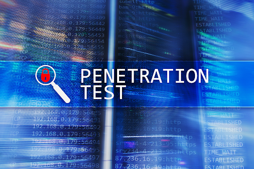 Software Penetration Testing