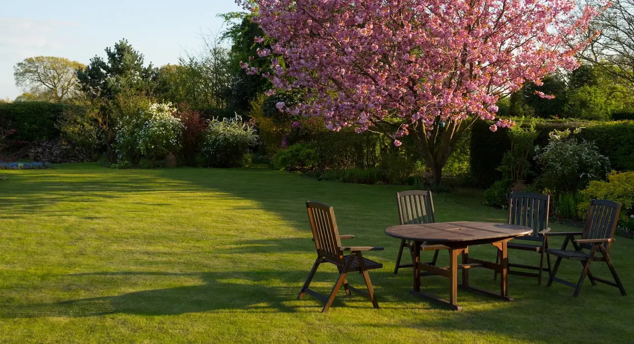 Top # Ways to Maintain a Large Backyard & Garden
