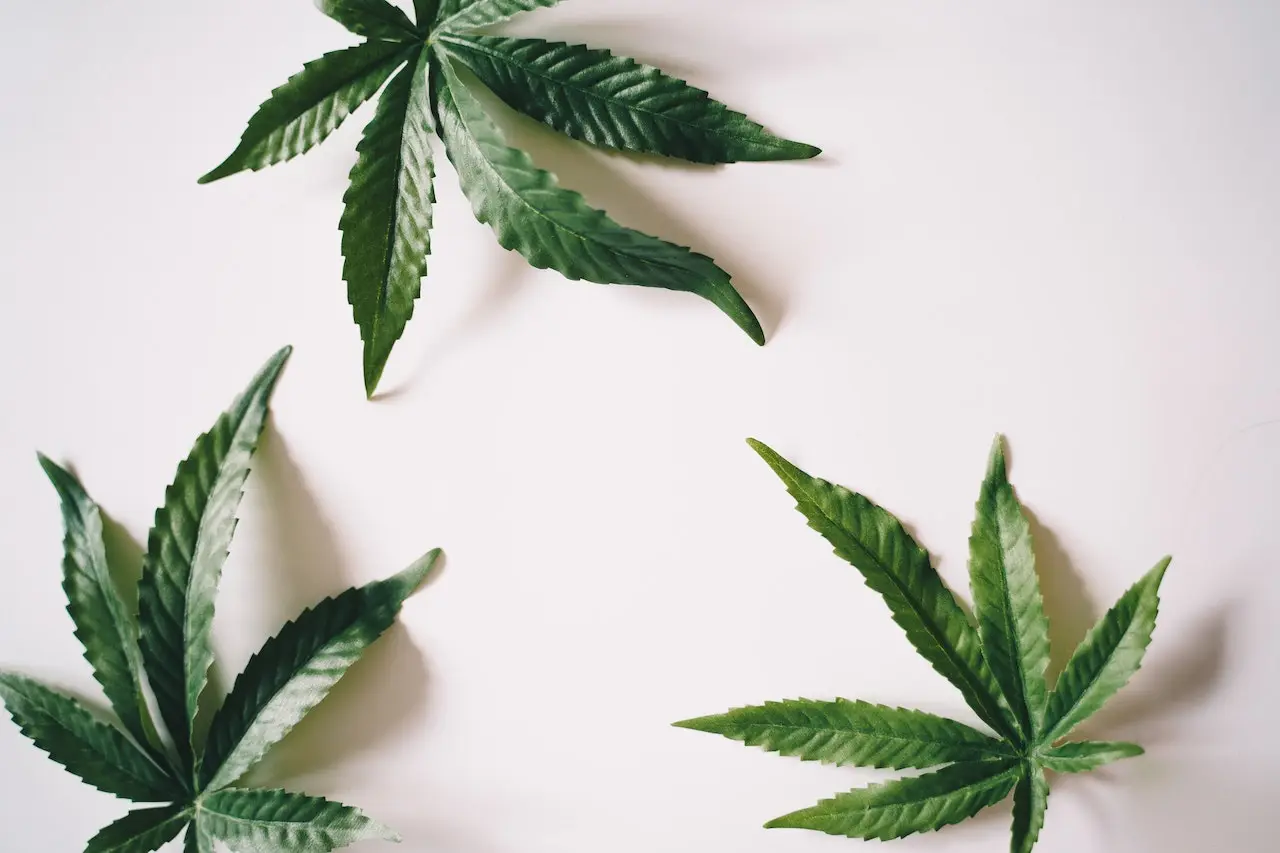 The Incredible Benefits of CBD: Enhancing Your Wellbeing