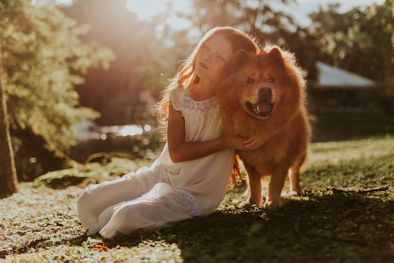 Pet-Proofing Your Home: Creating a Safe Haven for Your Furry Friend