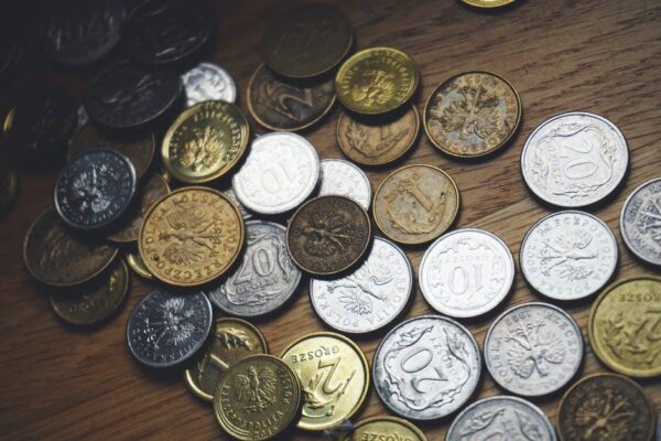 A Beginner's Guide to Start and Grow Your Own US Vintage Coin Collection